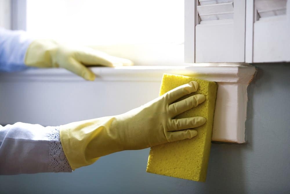 Cleanestor